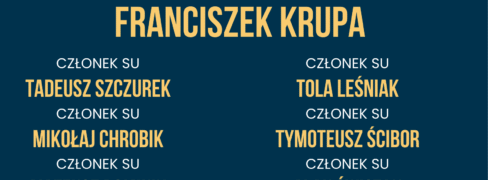 Wyniki wyborów do SU